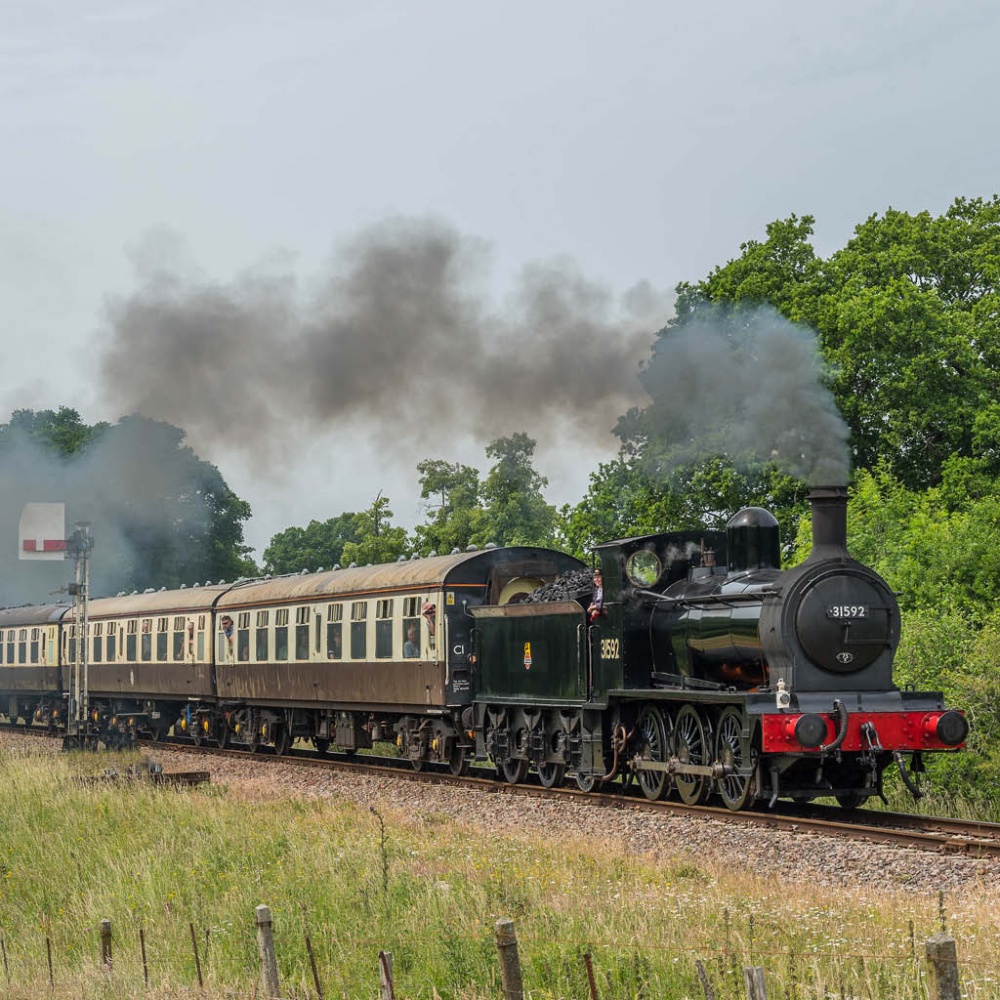 Steam & Heritage Diesel Train Rides